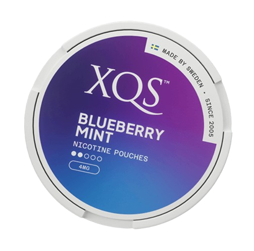 XQS Blueberry Mint
